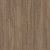 Дуб Аризона