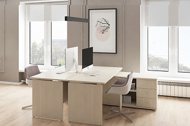 Cерии мебели «Vasanta» в цвете «Дуб Кобург/Металлик»